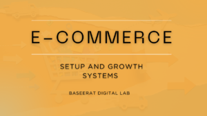 E-Commerce Setup & Growth Systems at Baseerat Digital Labs (BDL)